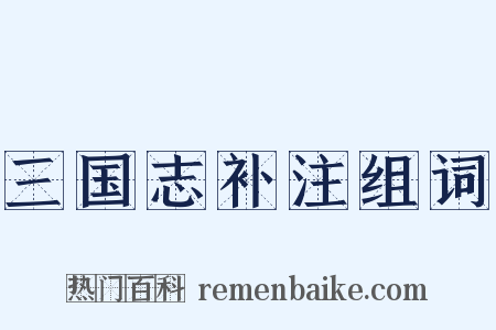 三国志补注组词是什么意思的图片